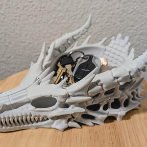 Dragon Skull Catchall!