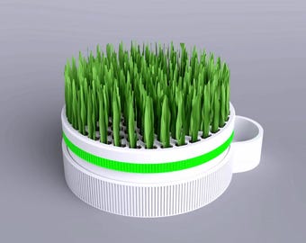 Mau Wiesen! "Katzen-Gras-Pflanzer eine lustige Art, Ihr Fellbaby zu sehen