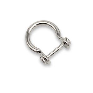 May include: A polished, silver shackle with a curved top and a straight bar closure. The metal shackle has a smooth, reflective surface. The closure is secured by two small, rounded nuts.