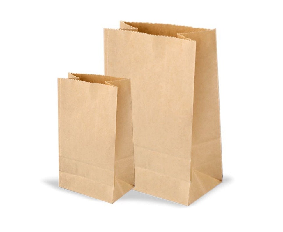 White & Brown Paper Craft Bags, Paper Bags With Handles, Party