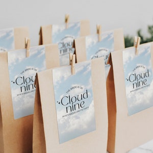 May include: Brown paper bags with blue and white printed labels that say "The bride is on Cloud Nine" and "Skye's Bachelorette Party".