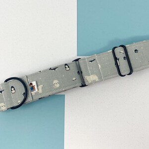 Martingale Collar | Arctic Animals