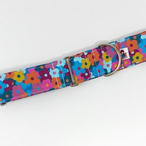 Martingale Collar | Kylie & Me Floral