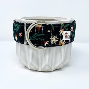 Martingale Collar | Forest Green Floral
