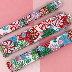 Martingale Collar |  Peppermint