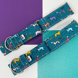 Martingale Collar | Kylie and Friends Teal