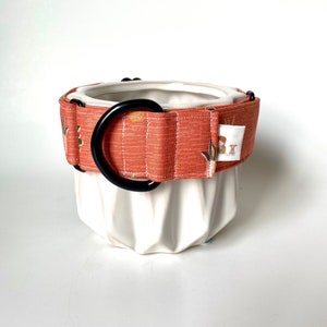 1.5&quot; Collar Martingale / Naranja con Suculentas
