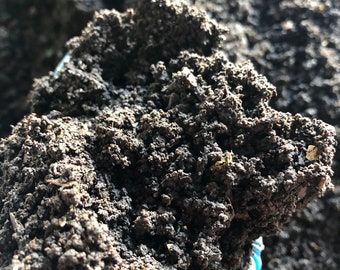 Worm Castings / Vermicast / Vermicompost (1 pound)