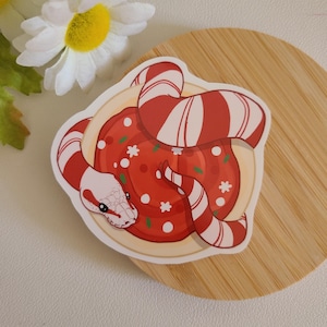 Zuckerstangenpython mit Zuckerkeks Aufkleber | Reptilien | Trinkflasche Laptop | süßes doofes Geschenk | Reptilien Dekor | süsser Weihnachts Sticker