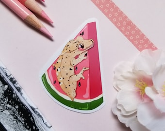 Könnte beinhalten: Ein Aufkleber mit einem Cartoon-Gecko, der an einer Wassermelonen-Scheibe hängt. Der Gecko ist braun mit schwarzen Flecken und hat eine rosa Zunge herausgestreckt. Die Wassermelone ist rot mit schwarzen Kernen und einer grünen Schale.