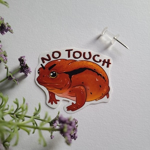 Sticker grenouille tomate en colère | amphibien | reptile | autocollant déco | autocollant pour ordinateur portable | Adorable vinyle brillant