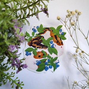 Adesivo de píton bola com mirtilos | decoração de réptil | vinil brilhante | adesivo para laptop com garrafa de água | presente fofo | arte com mirtilos