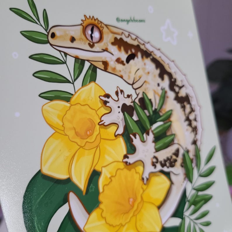 May include: A detailed illustration of a gecko with a cream and brown pattern, surrounded by yellow daffodils and green leaves. The gecko has a detailed eye and is set against a light green background. The artist's name, "@angelhbeans", is visible.