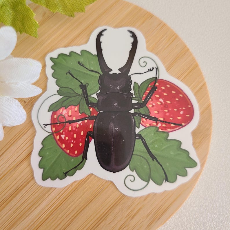 May include: A black stag beetle with large mandibles is surrounded by green leaves and red strawberries. The beetle is on a white background.