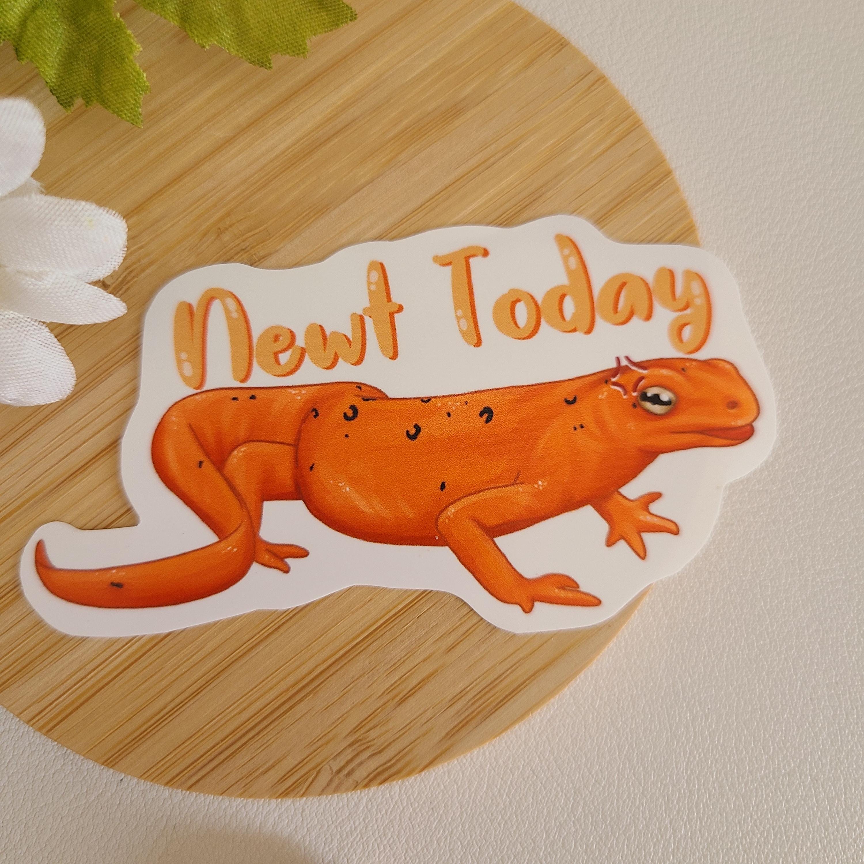 Send Newts Sticker Newt Today// Newt Pun Sticker | Amphibian | Reptile | Not Today ...