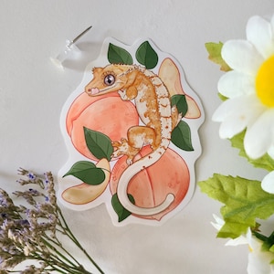 Geco com crista com pêssegos de <br> Crie Seu Próprio Produto! répteis | vinil brilhante | waterbottle adesivo para portátil | presente bobo bonito | decoração de répteis | adesivo fofo