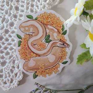 Adesivo de píton bola com flores laranja | cobra fofa | decoração de réptil | pacote de adesivos | vinil brilhante | adesivo para laptop