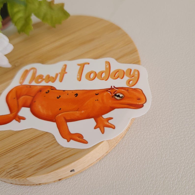 Send Newts Sticker Newt Today// Newt Pun Sticker | Amphibian | Reptile | Not Today ...