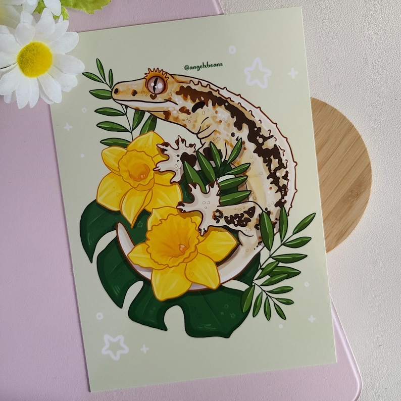 May include: A print featuring a crested gecko with brown and cream markings, surrounded by yellow daffodils and green leaves. The artwork has a light green background with the artist's name, @angelbeans, in the upper right corner. The print is on a light green background.