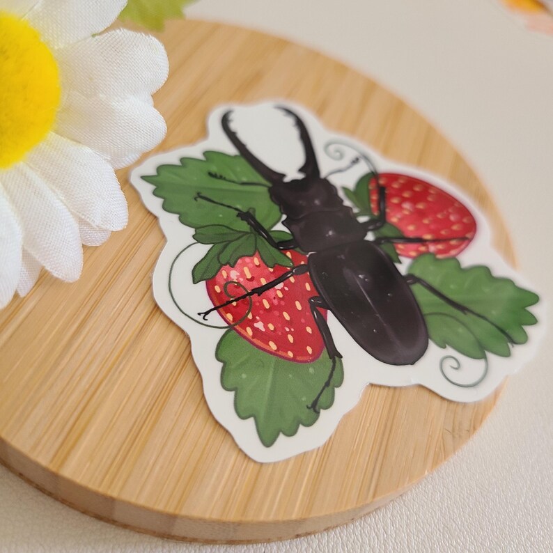 May include: A sticker featuring a black stag beetle on a white background with green leaves and red strawberries.