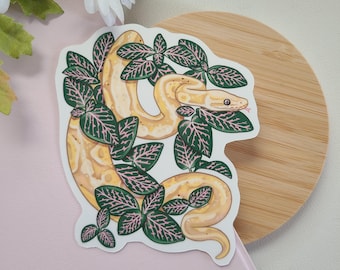 Ball python on fittonia plant sticker | reptiles | vinyl glossy | waterbottle laptop sticker | cute silly gift | reptile decor |cute sticker