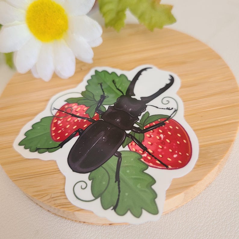 May include: A black stag beetle with large mandibles is perched on top of two red strawberries with green leaves. The beetle is surrounded by green leaves and the strawberries are partially visible.