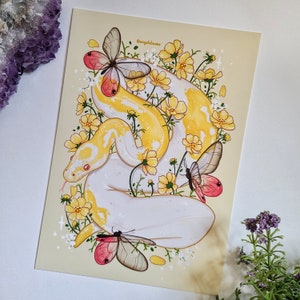 NEW albino pied ball python with cosmos 5"x7" art print | reptiles | snake art | wall art gift | home decor | reptile decor | postcard