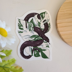 Kingsnake preto mexicano com monstera deliciosa adesivo de <br> Crie Seu Próprio Produto! répteis | vinil brilhante | waterbottle adesivo para portátil | presente fofo
