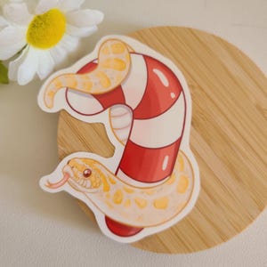 Adesivo de cobra hognose ocidental com bengala de doce | répteis | laptop com garrafa de água | presente fofo e bobo | decoração de réptil | adesivo fofo de Natal