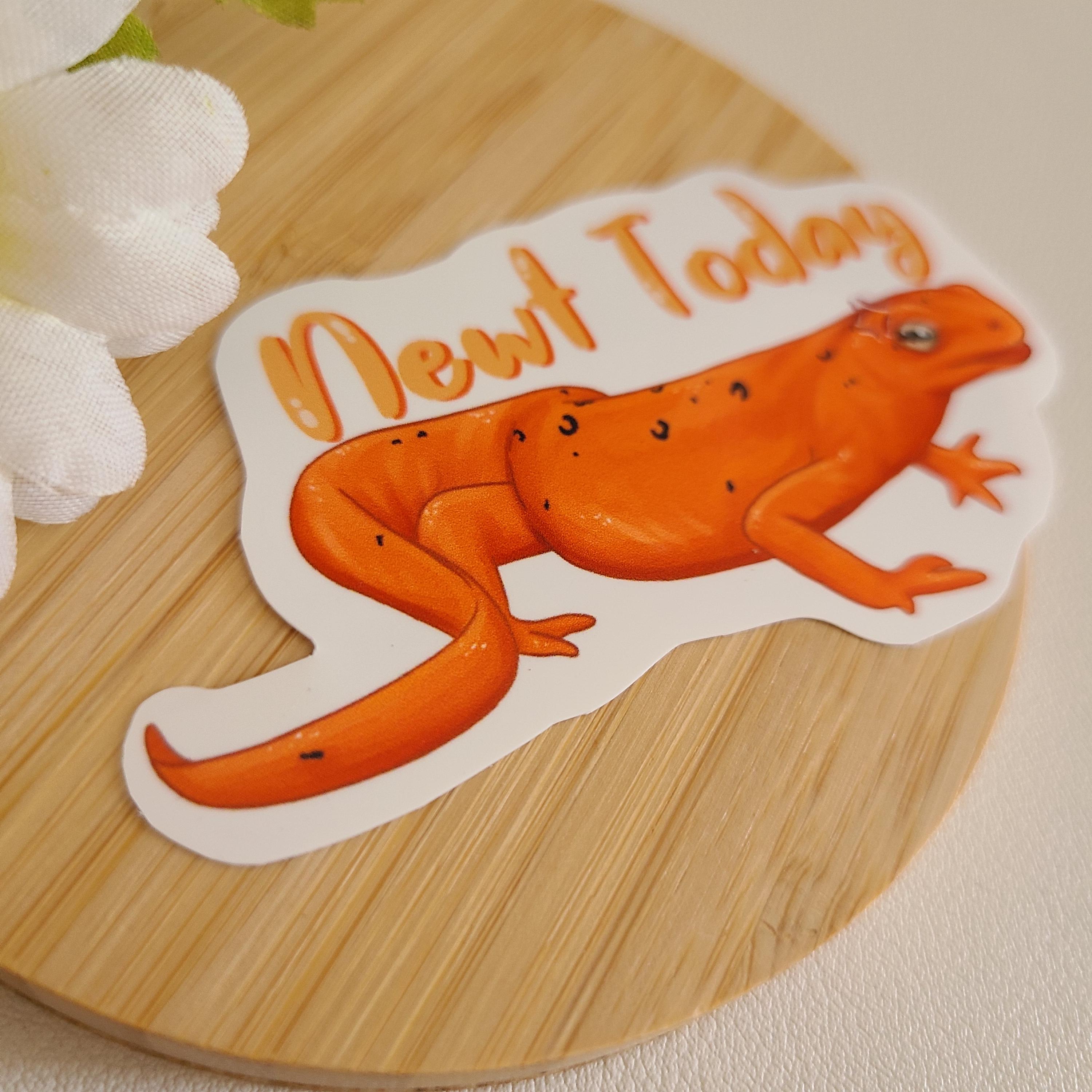 Send Newts Sticker Newt Today// Newt Pun Sticker | Amphibian | Reptile | Not Today ...