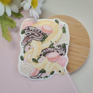 Op de afbeelding: Een sticker met een gestileerde illustratie van twee slangen in crème- en bruintinten, versierd met roze macarons en bloemen. Het ontwerp heeft een grillige, artistieke esthetiek, perfect voor het decoreren van laptops, waterflessen of notitieboekjes.