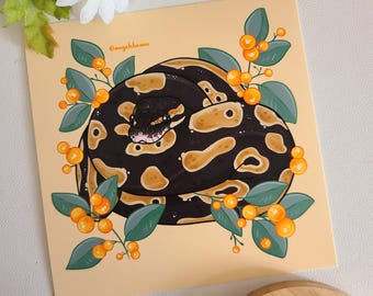 Impression d'art 5 x 5 python royal avec baies orange | reptiles | art du serpent | cadeau d'art mural | décoration intérieure | décor reptile | carte postale | semi-brillant