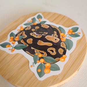 May include: A sticker featuring a curled up snake with a black and brown pattern, surrounded by green leaves and orange berries.