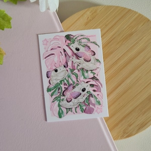 Pode incluir: Um autocolante retangular com três rãs arbóreas brancas com asas de borboleta rosa e roxa, num fundo de folhas tropicais rosa e verdes. O autocolante tem um estilo caprichoso e artístico.
