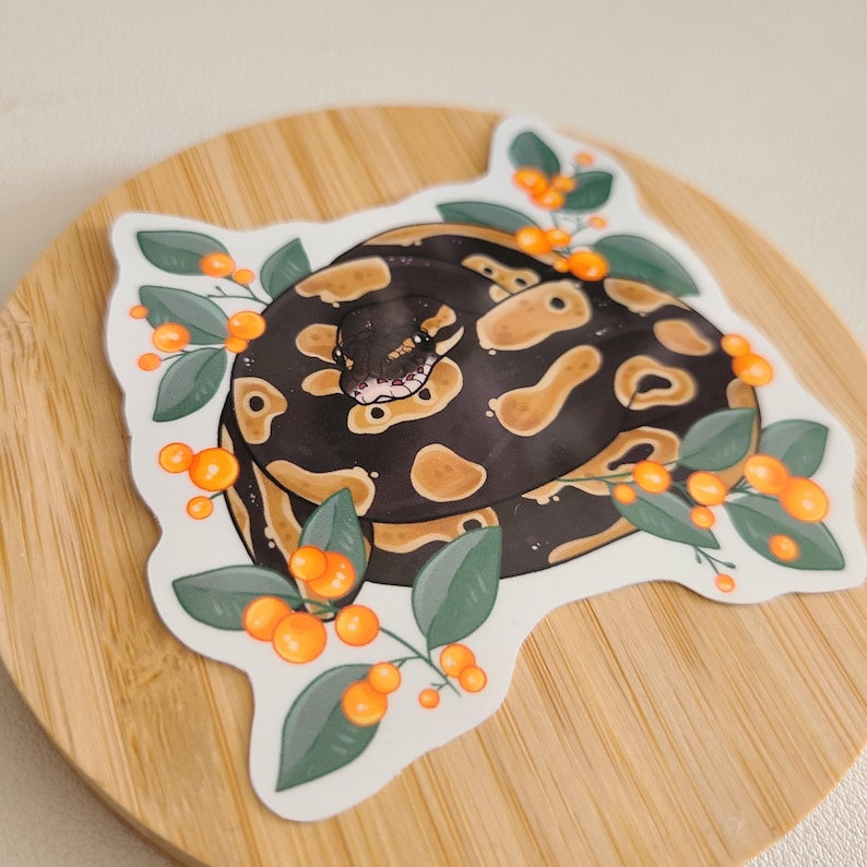 May include: A sticker featuring a curled up black and brown snake with orange berries and green leaves around it.