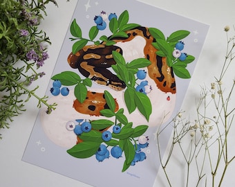 Stampa artistica di pitone palla pezzato con mirtilli 5"x7" / decorazione rettile / regalo di arte murale / arte serpente / arredamento per la casa / cartolina / semi-lucido