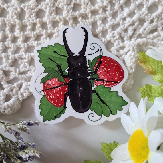 Stag beetle with strawberries sticker | reptile decor | glossy vinyl sticker | waterbottle laptop sticker | cute gift | deco stickers