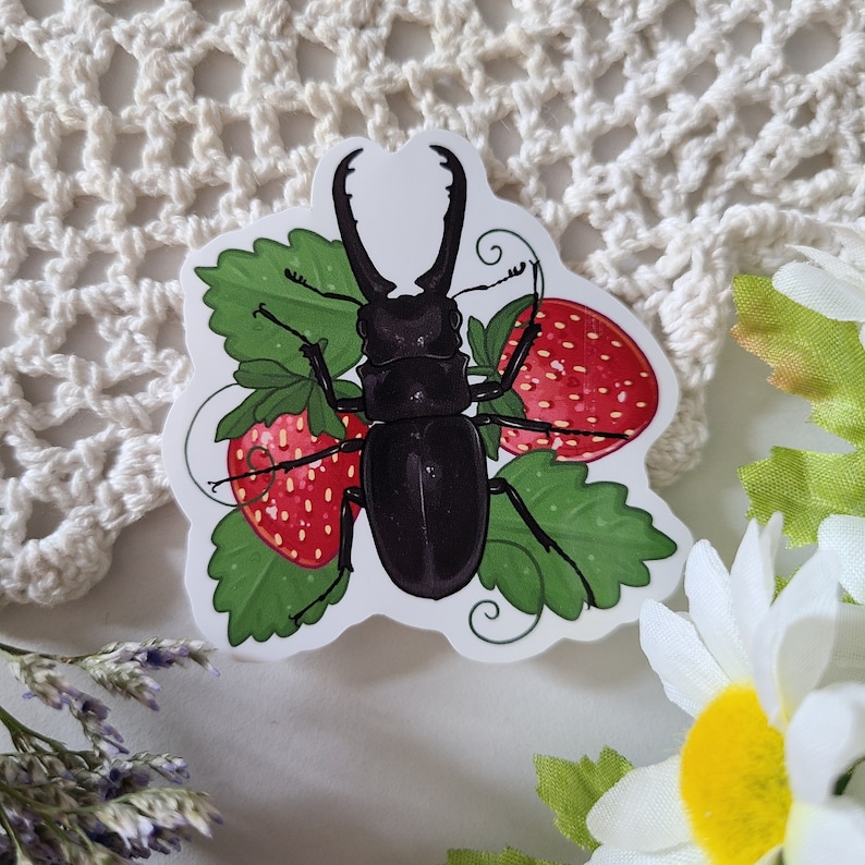 May include: A black stag beetle with large mandibles is perched on top of two red strawberries with green leaves. The beetle is surrounded by green leaves and vines.
