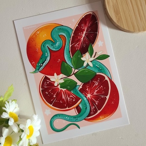 Może przedstawiać: Zielony wąż owinięty wokół plastrów czerwonej pomarańczy z białymi kwiatami i zielonymi liśćmi na różowym tle.