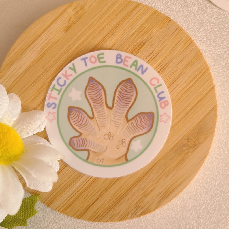 Pode incluir: Um adesivo redondo com um fundo verde claro e uma impress&atilde;o de p&eacute; de gecko de desenho animado. O adesivo tem o texto "Sticky Toe Bean Club" em uma fonte rosa, azul e verde.