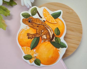 Crested gecko with oranges sticker | reptiles | vinyl glossy | waterbottle laptop sticker | cute silly gift | reptile decor | cute sticker