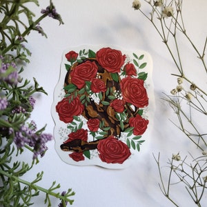 Può includere: Un adesivo con un serpente marrone e nero avvolto attorno a un bouquet di rose rosse con accenti bianchi.