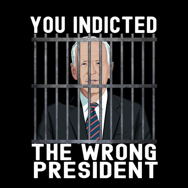 You Indicted The Wrong President  Biden PNG, Pro Trump, Funny Political Humor design