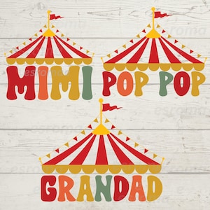 Carnival Birthday Bundle Svg Png, Carnival Theme Birthday Svg, Circus Birthday Shirt, Birthday outfit, Matching Family Carnival Birthday Png
