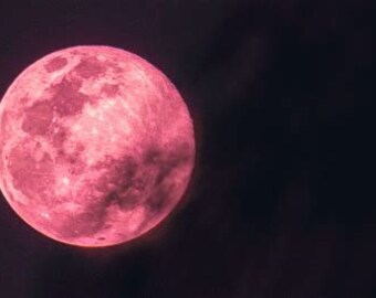 APRIL 2024 Full Moon SPELL & Psychic READING Combination. Pink Moon. April 2 in 1 Special Offer! 1 Spell. 1 Psychic Question Reading!