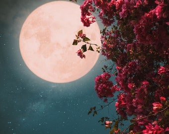 MAY 2024 Full Moon SPELL & Psychic READING Combination. Flower Moon. April 2 in 1 Special Offer! 1 Spell. 1 Psychic Question Reading!