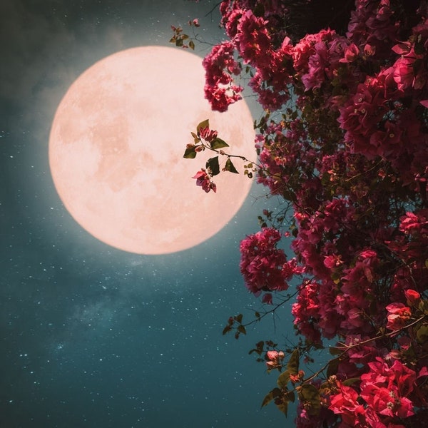 MAY 2024 Full Moon SPELL & Psychic READING Combination. Flower Moon. April 2 in 1 Special Offer! 1 Spell. 1 Psychic Question Reading!