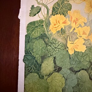 Peut inclure: Peinture &agrave; l'aquarelle de fleurs jaunes et de feuilles vertes. Les fleurs ont des p&eacute;tales froiss&eacute;s et sont en pleine floraison. Les feuilles sont grandes et rondes, avec des nervures pro&eacute;minentes. L'&oelig;uvre est sur fond blanc avec un bord d&eacute;chir&eacute;.