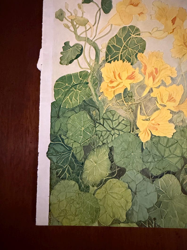 Peut inclure: Peinture &agrave; l'aquarelle de fleurs jaunes et de feuilles vertes. Les fleurs ont des p&eacute;tales froiss&eacute;s et sont en pleine floraison. Les feuilles sont grandes et rondes, avec des nervures pro&eacute;minentes. L'&oelig;uvre est sur fond blanc avec un bord d&eacute;chir&eacute;.