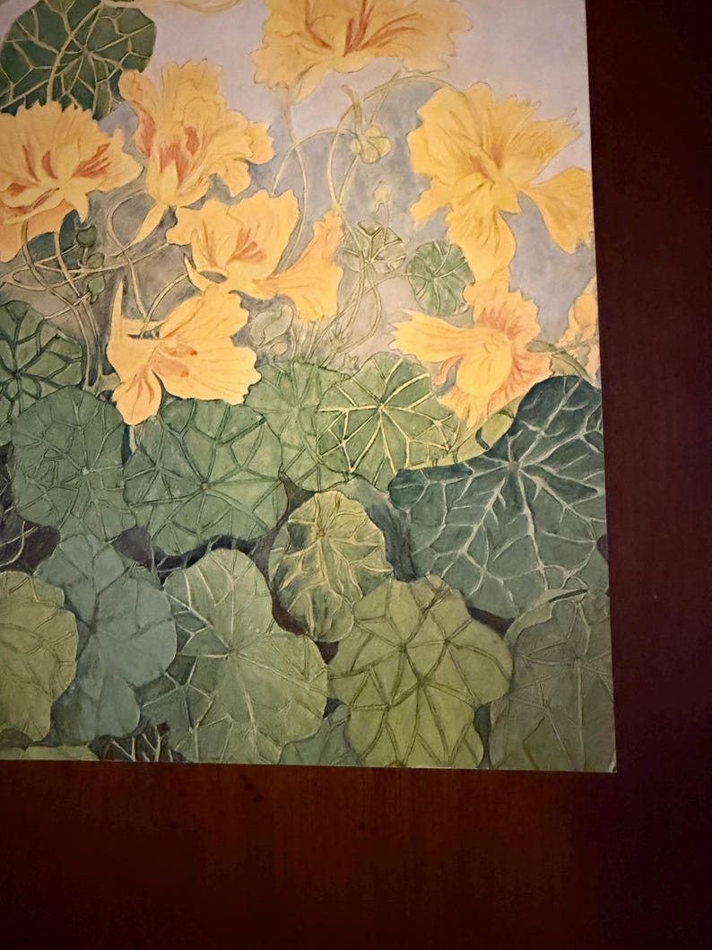 Peut inclure: Peinture &agrave; l'aquarelle de fleurs de capucines jaunes avec des feuilles vertes. Les fleurs ont des p&eacute;tales froiss&eacute;s et sont &agrave; diff&eacute;rents stades de floraison. Les feuilles sont grandes, rondes et m&eacute;langent les nuances de vert.